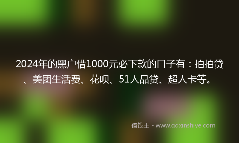 2024年的黑户借1000元必下款的口子有：拍拍贷、美团生活费、花呗、51人品贷、超人卡等。