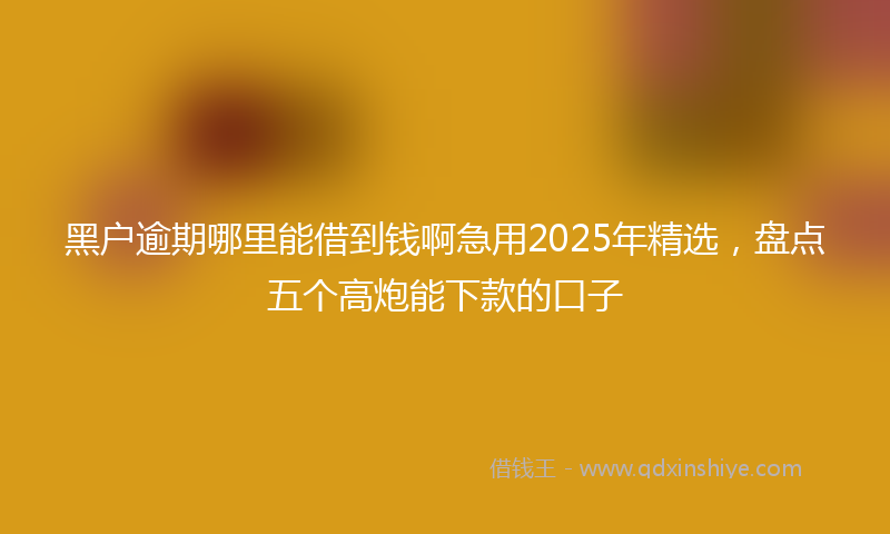 黑户逾期哪里能借到钱啊急用2025年精选，盘点五个高炮能下款的口子