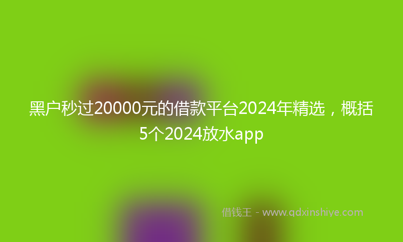 黑户秒过20000元的借款平台2024年精选，概括5个2024放水app