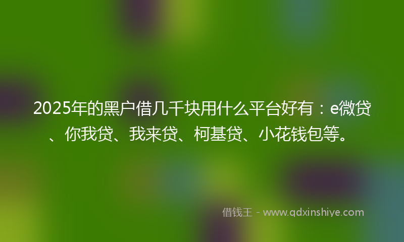 2025年的黑户借几千块用什么平台好有：e微贷、你我贷、我来贷、柯基贷、小花钱包等。