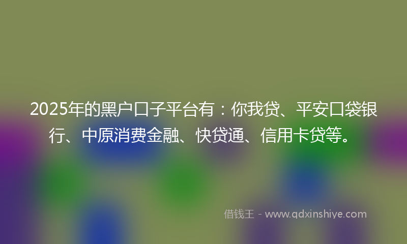 2025年的黑户口子平台有：你我贷、平安口袋银行、中原消费金融、快贷通、信用卡贷等。