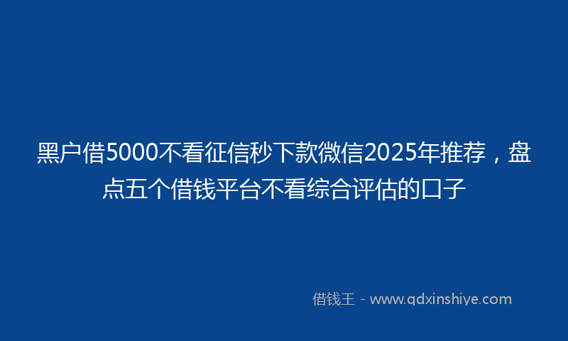 黑户借5000不看征信秒下款微信2025年推荐，盘点五个借钱平台不看综合评估的口子