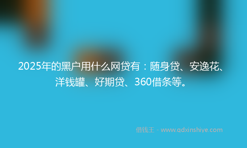 2025年的黑户用什么网贷有：随身贷、安逸花、洋钱罐、好期贷、360借条等。