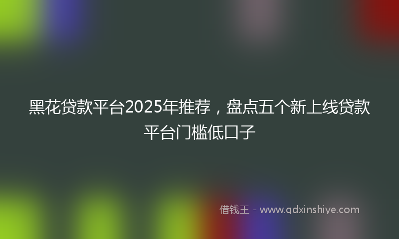 黑花贷款平台2025年推荐，盘点五个新上线贷款平台门槛低口子