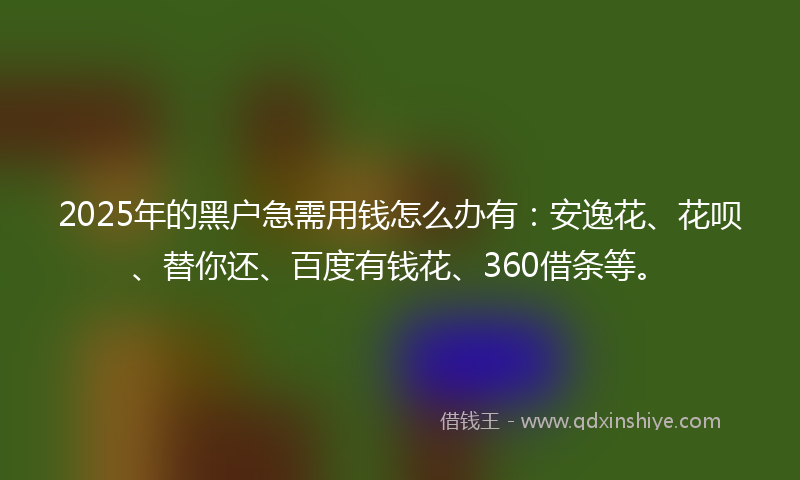 2025年的黑户急需用钱怎么办有：安逸花、花呗、替你还、百度有钱花、360借条等。