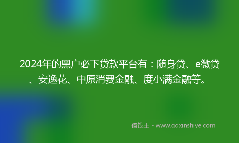 2024年的黑户必下贷款平台有：随身贷、e微贷、安逸花、中原消费金融、度小满金融等。