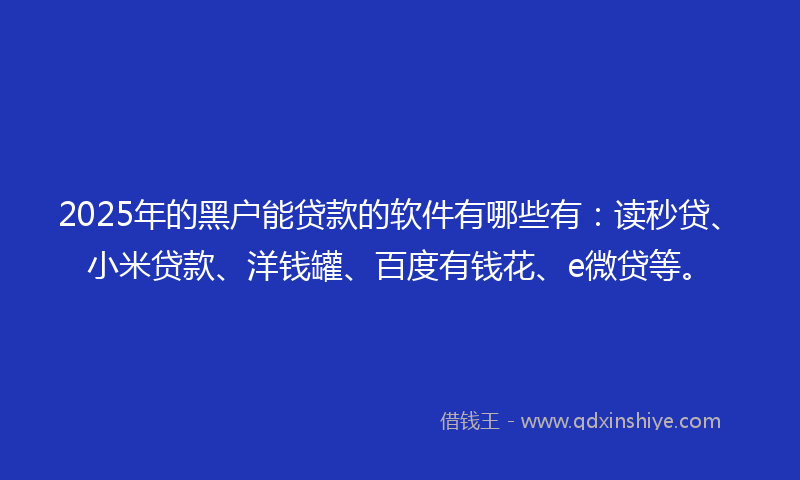 2025年的黑户能贷款的软件有哪些有：读秒贷、小米贷款、洋钱罐、百度有钱花、e微贷等。