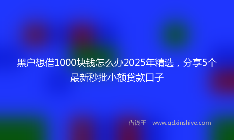 黑户想借1000块钱怎么办2025年精选，分享5个最新秒批小额贷款口子