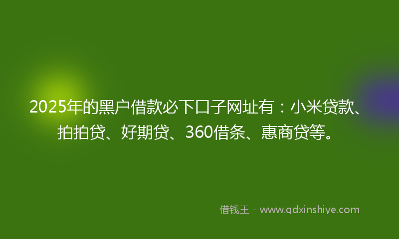 2025年的黑户借款必下口子网址有：小米贷款、拍拍贷、好期贷、360借条、惠商贷等。