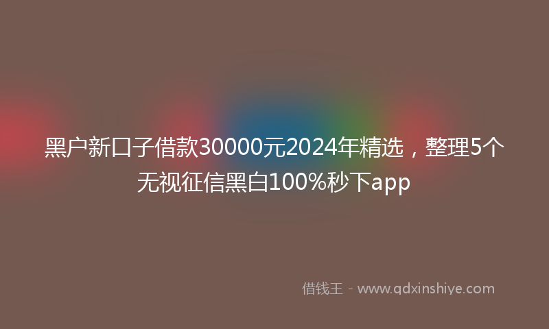 黑户新口子借款30000元2024年精选，整理5个无视征信黑白100%秒下app