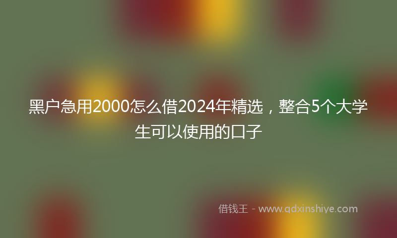 黑户急用2000怎么借2024年精选，整合5个大学生可以使用的口子