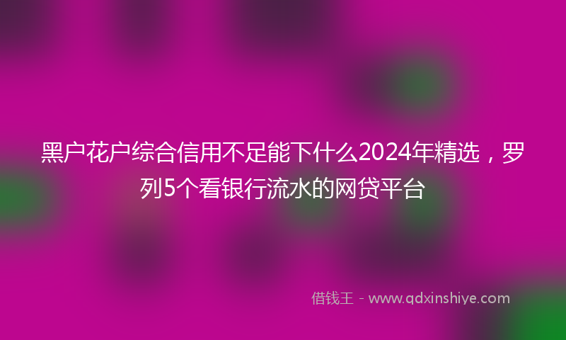 黑户花户综合信用不足能下什么2024年精选，罗列5个看银行流水的网贷平台