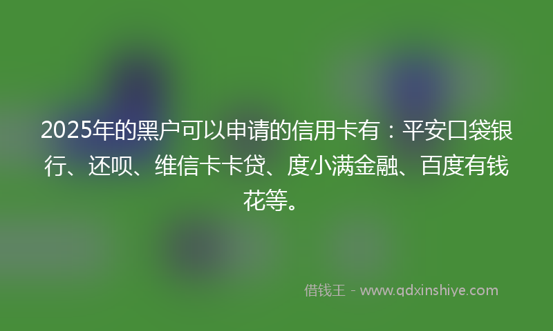 2025年的黑户可以申请的信用卡有：平安口袋银行、还呗、维信卡卡贷、度小满金融、百度有钱花等。