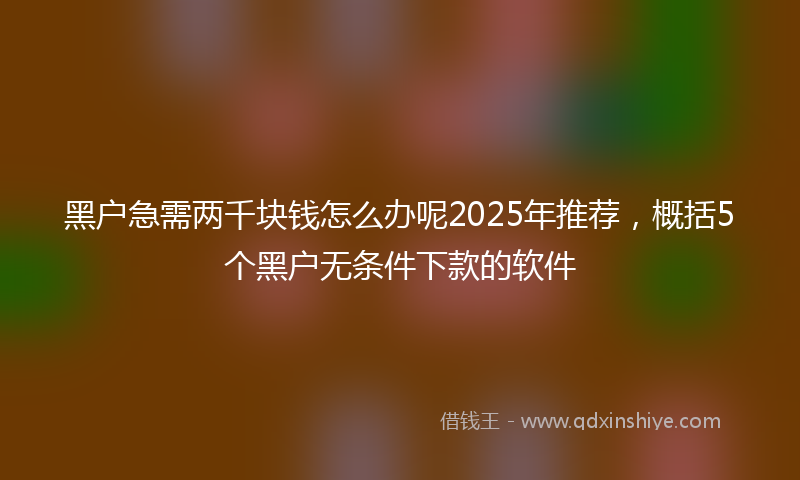 黑户急需两千块钱怎么办呢2025年推荐，概括5个黑户无条件下款的软件