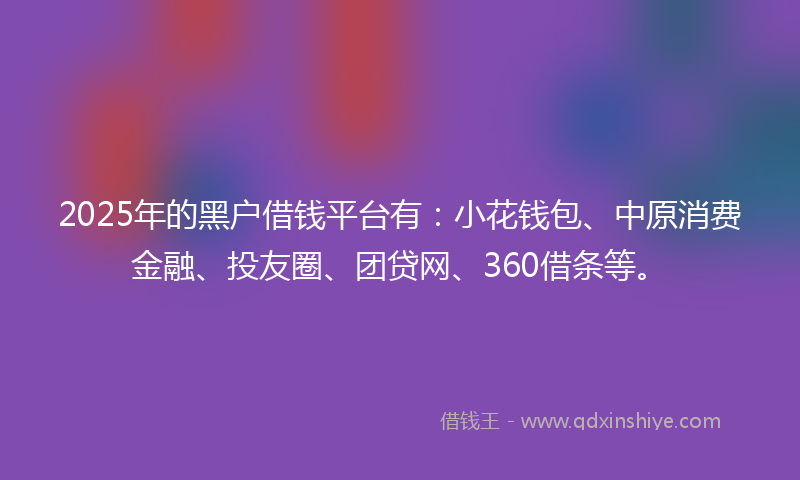 2025年的黑户借钱平台有：小花钱包、中原消费金融、投友圈、团贷网、360借条等。