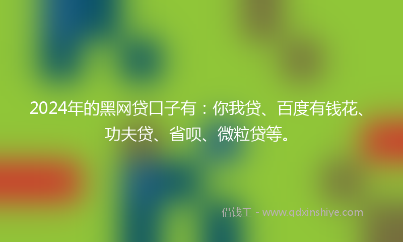 2024年的黑网贷口子有：你我贷、百度有钱花、功夫贷、省呗、微粒贷等。