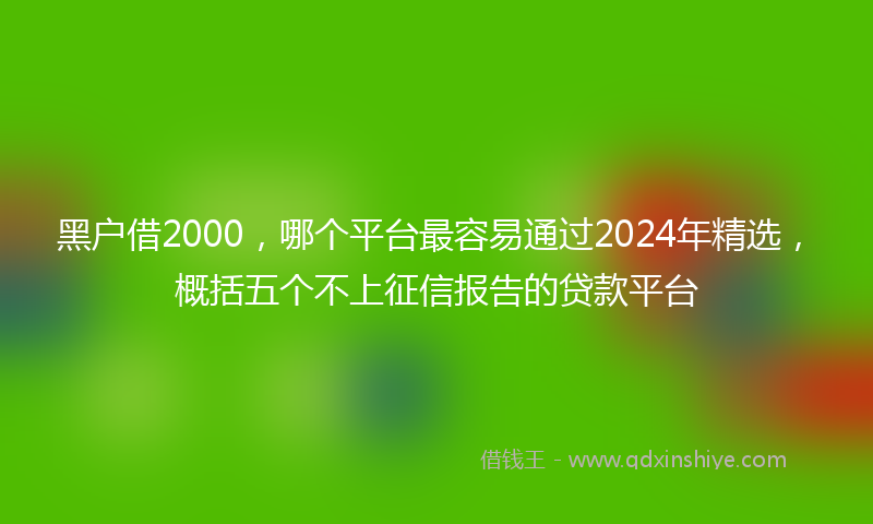黑户借2000，哪个平台最容易通过2024年精选，概括五个不上征信报告的贷款平台