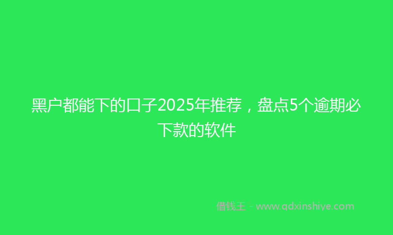黑户都能下的口子2025年推荐，盘点5个逾期必下款的软件