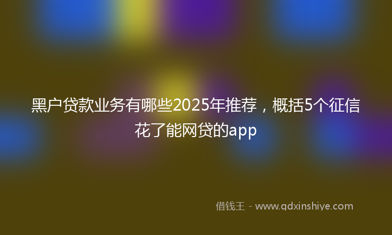 黑户贷款业务有哪些2025年推荐，概括5个征信花了能网贷的app
