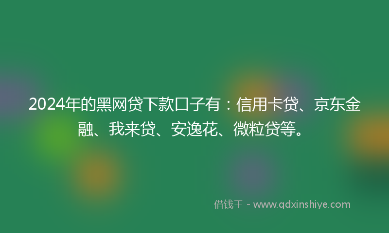 2024年的黑网贷下款口子有：信用卡贷、京东金融、我来贷、安逸花、微粒贷等。