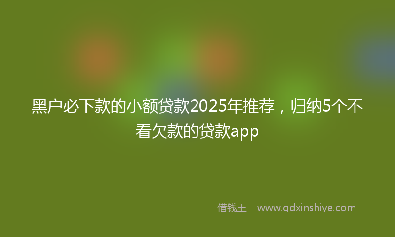 黑户必下款的小额贷款2025年推荐，归纳5个不看欠款的贷款app