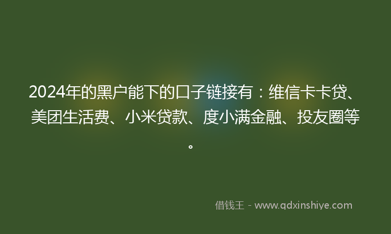 2024年的黑户能下的口子链接有：维信卡卡贷、美团生活费、小米贷款、度小满金融、投友圈等。