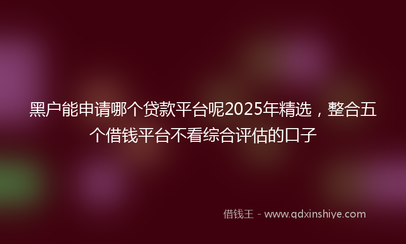 黑户能申请哪个贷款平台呢2025年精选，整合五个借钱平台不看综合评估的口子