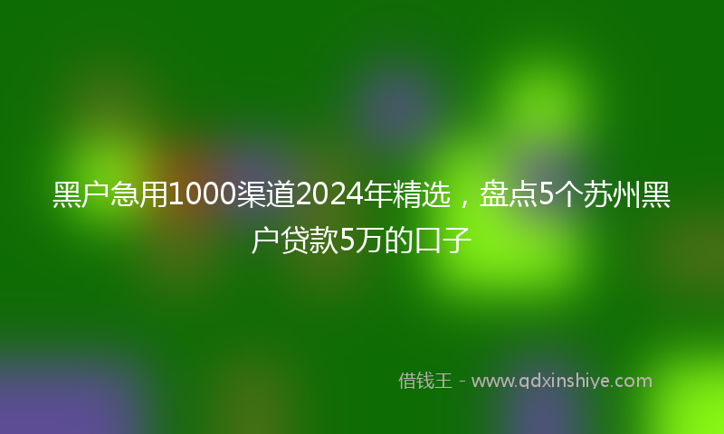 黑户急用1000渠道2024年精选，盘点5个苏州黑户贷款5万的口子