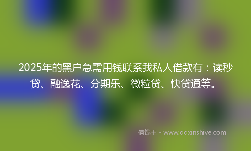 2025年的黑户急需用钱联系我私人借款有：读秒贷、融逸花、分期乐、微粒贷、快贷通等。