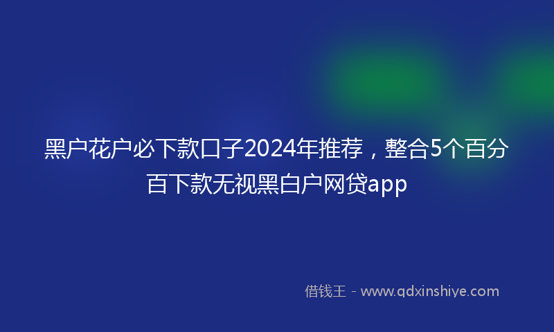黑户花户必下款口子2024年推荐，整合5个百分百下款无视黑白户网贷app