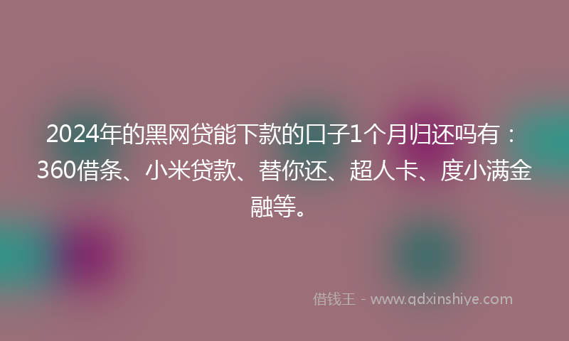 2024年的黑网贷能下款的口子1个月归还吗有：360借条、小米贷款、替你还、超人卡、度小满金融等。