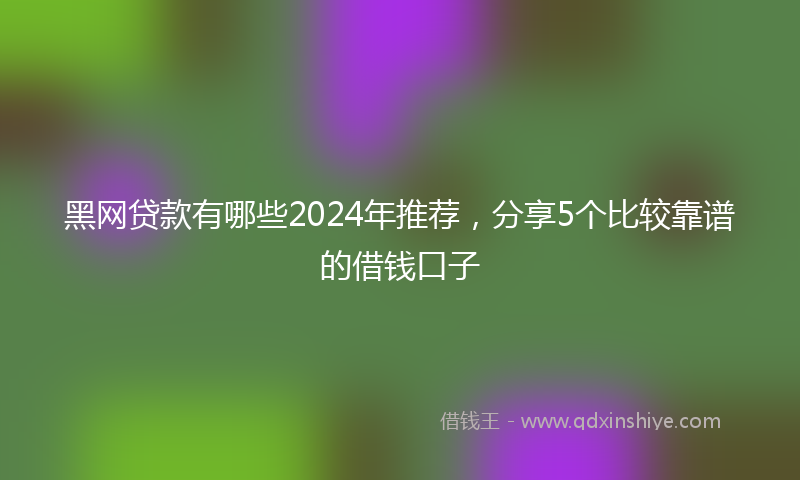 黑网贷款有哪些2024年推荐，分享5个比较靠谱的借钱口子