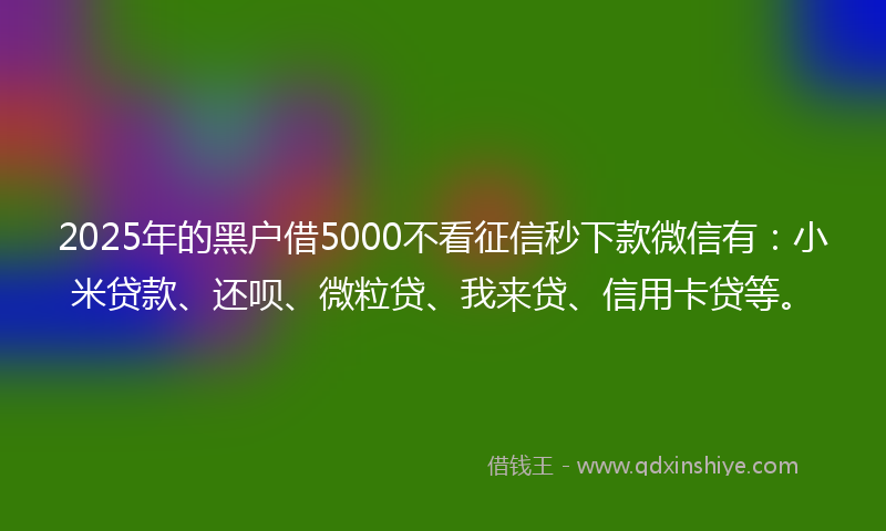 2025年的黑户借5000不看征信秒下款微信有：小米贷款、还呗、微粒贷、我来贷、信用卡贷等。