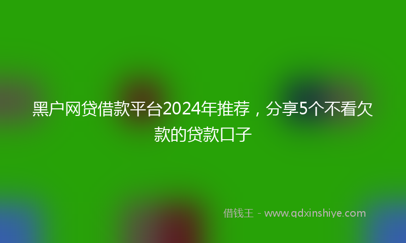 黑户网贷借款平台2024年推荐，分享5个不看欠款的贷款口子