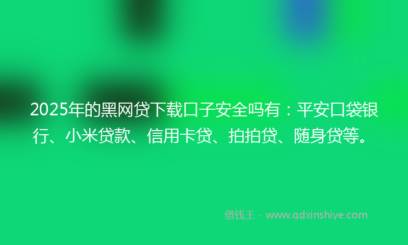 2025年的黑网贷下载口子安全吗有：平安口袋银行、小米贷款、信用卡贷、拍拍贷、随身贷等。