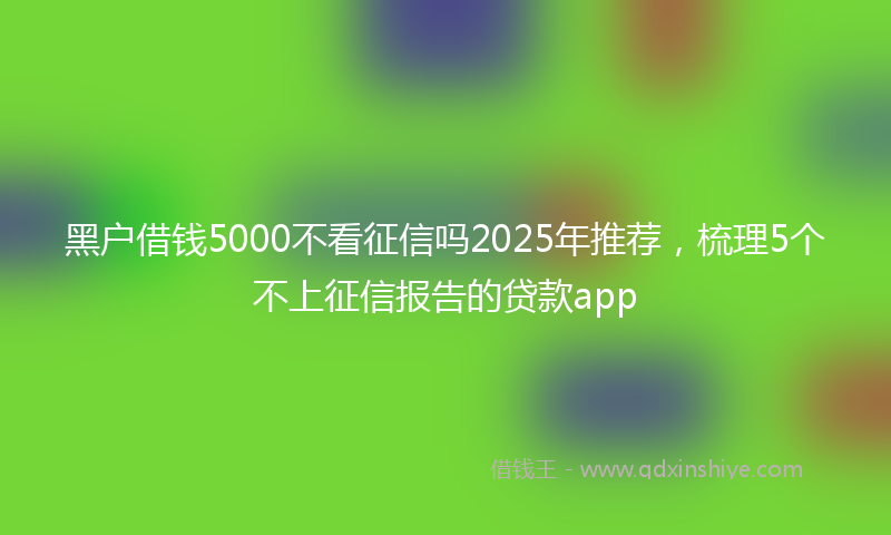 黑户借钱5000不看征信吗2025年推荐，梳理5个不上征信报告的贷款app