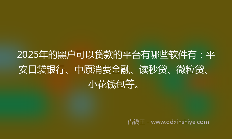 2025年的黑户可以贷款的平台有哪些软件有：平安口袋银行、中原消费金融、读秒贷、微粒贷、小花钱包等。