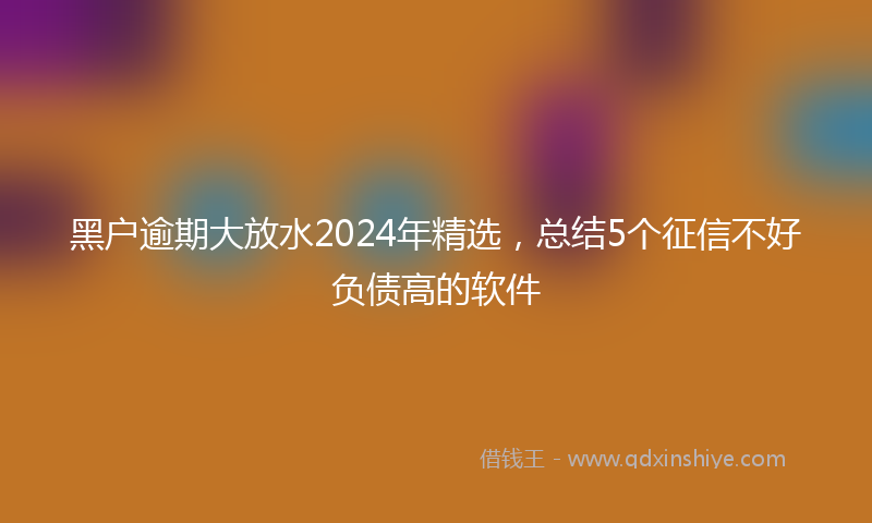 黑户逾期大放水2024年精选，总结5个征信不好负债高的软件