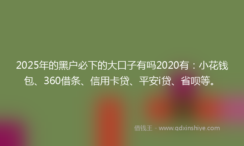 2025年的黑户必下的大口子有吗2020有：小花钱包、360借条、信用卡贷、平安i贷、省呗等。