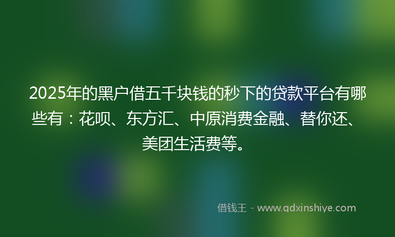 2025年的黑户借五千块钱的秒下的贷款平台有哪些有：花呗、东方汇、中原消费金融、替你还、美团生活费等。