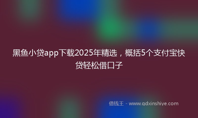 黑鱼小贷app下载2025年精选，概括5个支付宝快贷轻松借口子