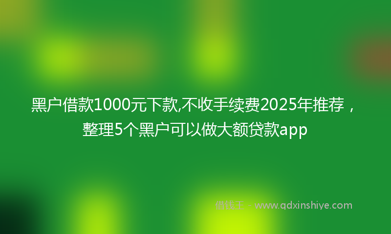 黑户借款1000元下款,不收手续费2025年推荐，整理5个黑户可以做大额贷款app