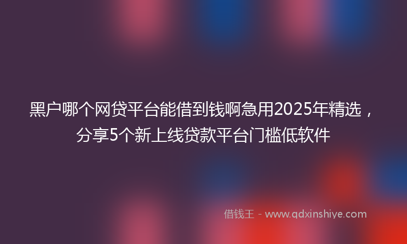 黑户哪个网贷平台能借到钱啊急用2025年精选，分享5个新上线贷款平台门槛低软件