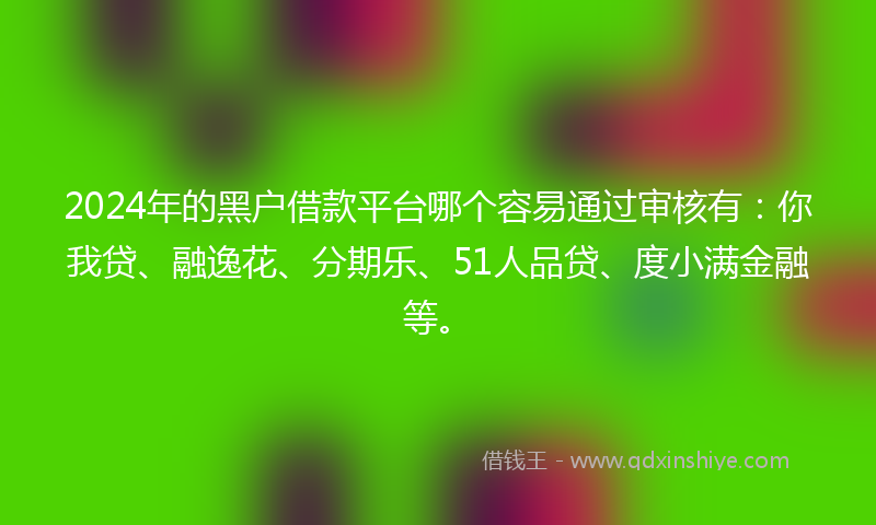2024年的黑户借款平台哪个容易通过审核有：你我贷、融逸花、分期乐、51人品贷、度小满金融等。
