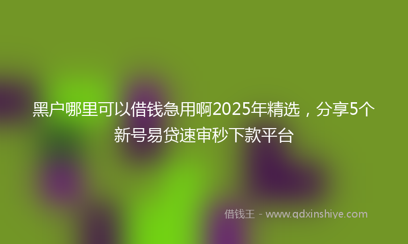 黑户哪里可以借钱急用啊2025年精选，分享5个新号易贷速审秒下款平台