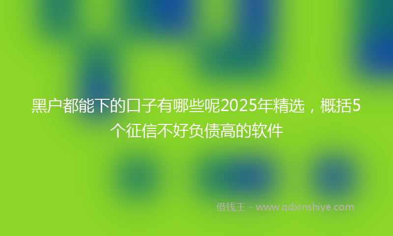黑户都能下的口子有哪些呢2025年精选，概括5个征信不好负债高的软件