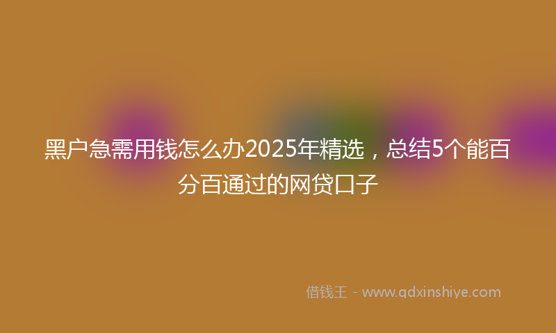 黑户急需用钱怎么办2025年精选，总结5个能百分百通过的网贷口子