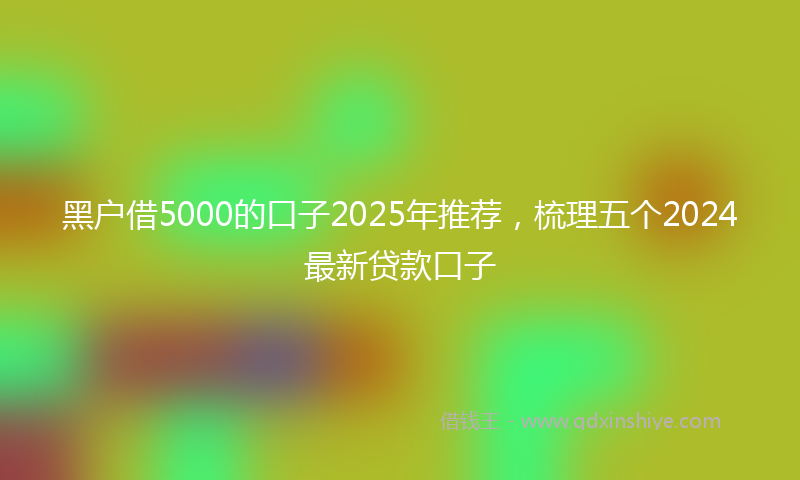 黑户借5000的口子2025年推荐，梳理五个2024最新贷款口子