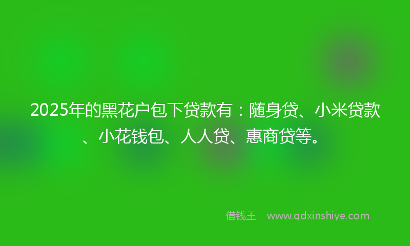 2025年的黑花户包下贷款有：随身贷、小米贷款、小花钱包、人人贷、惠商贷等。