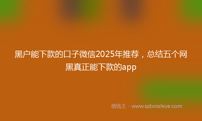 黑户能下款的口子微信2025年推荐，总结五个网黑真正能下款的app